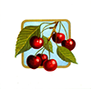 Fruit cherries